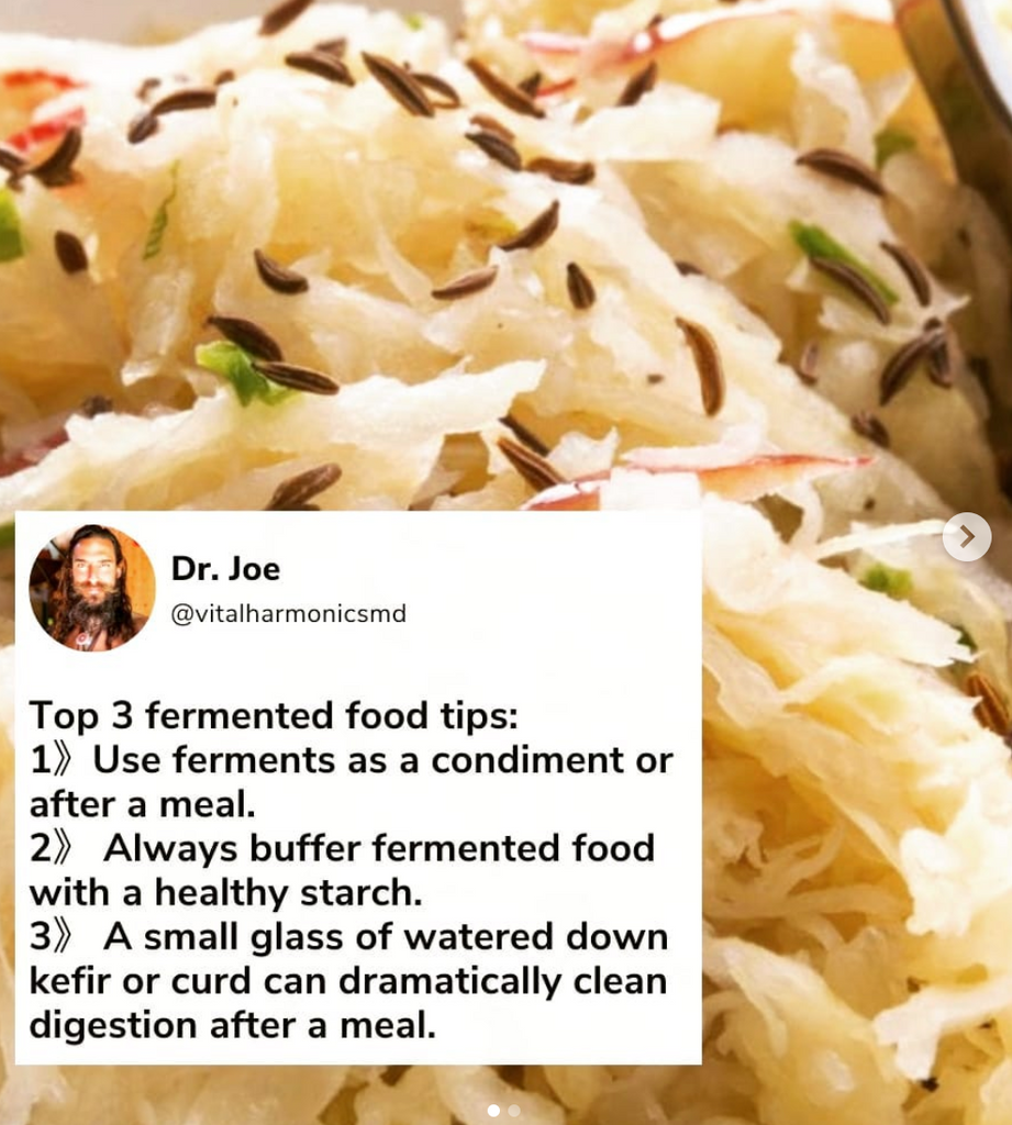 Regarding Fermented Foods...